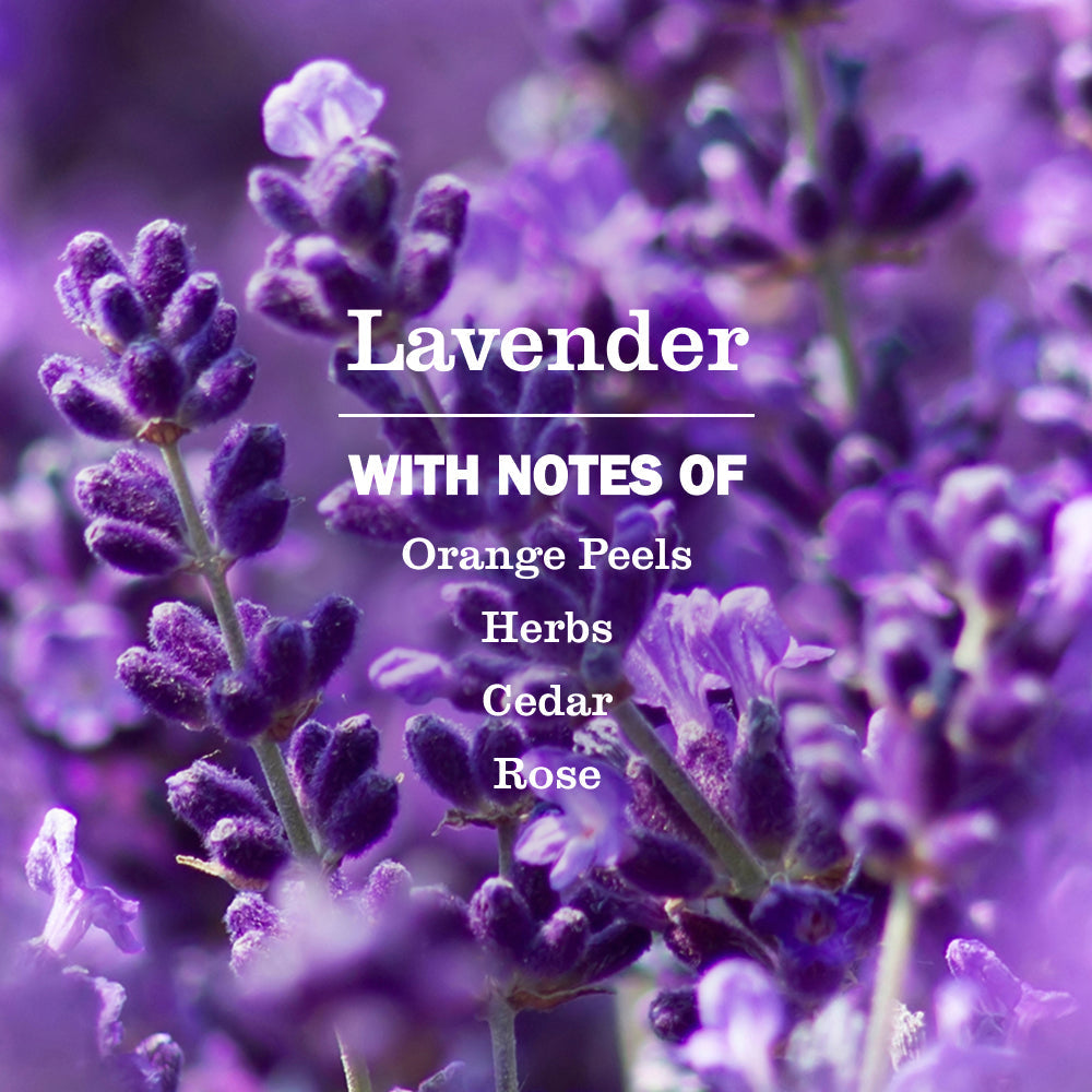 Lavender Room Spray: Non-Aerosolized Room Freshener | Mrs. Meyer's
